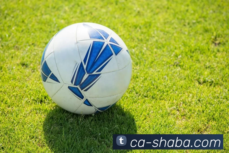 沙巴体育平台服务体系