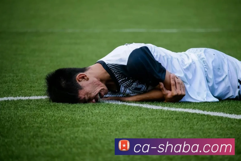 奖项证书